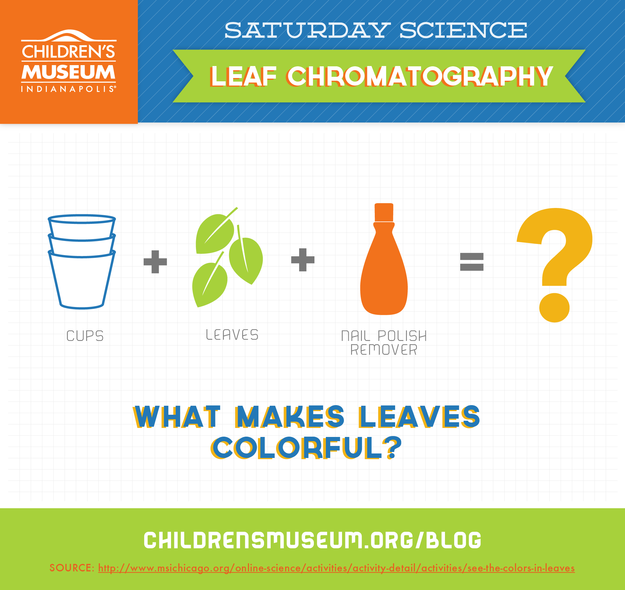 Saturday Science Leaf Chromatography The Children's Museum of